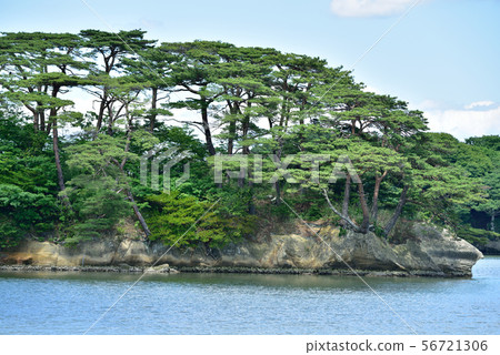 Matsushima Matsushima 56721306