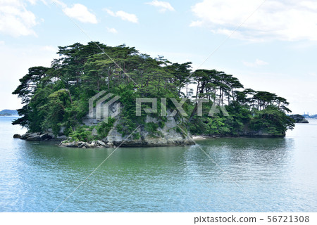 Matsushima 56721308