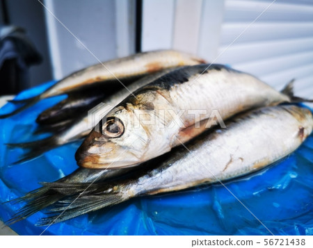 Herring salty, kind of Iwashi 56721438