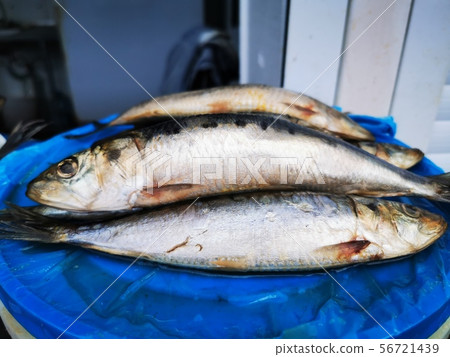 Herring salty, kind of Iwashi 56721439