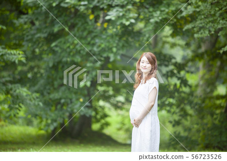 Maternity photo Maternity photo 56723526