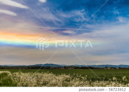 Hebeigata ring horizontal arc Hebeigata ring horizontal arc 56723912