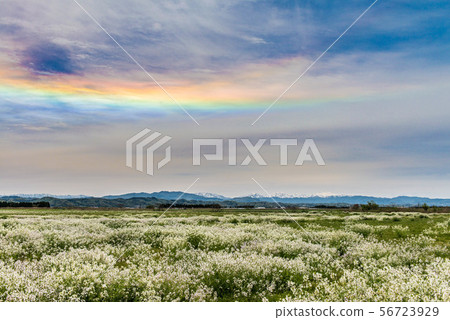 Hebeigata ring horizontal arc Hebeigata ring horizontal arc 56723929
