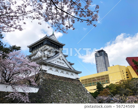 Ogura城堡與櫻花盛開_07 56724509