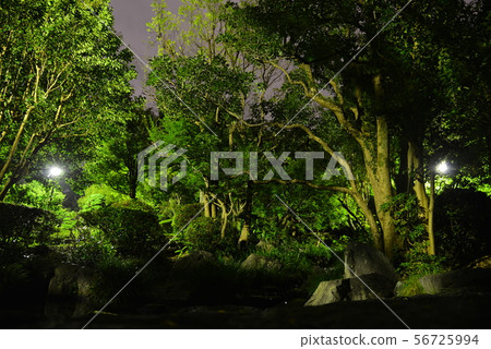 夜公園 夜公園 56725994