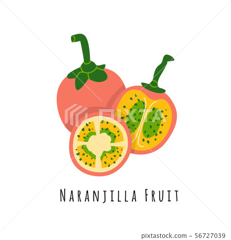 Naranjilla fruit flat vector illustration Naranjilla fruit flat vector illustration 56727039