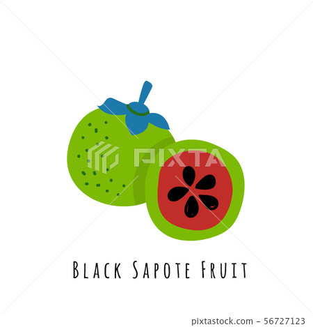 Black sapote fruit  illustration 56727123