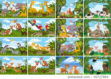 Set of various animals in nature scenes 56727864