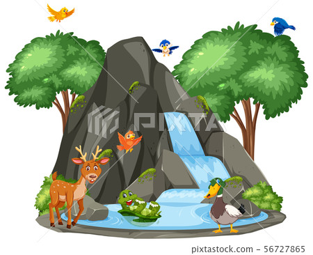 Background scene of animals by the waterfall 56727865