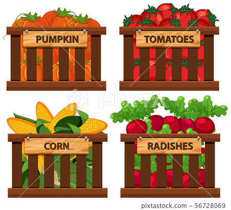 Basket full of vegetables on white background - Stock Illustration ...
