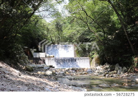 Summer river 56728275