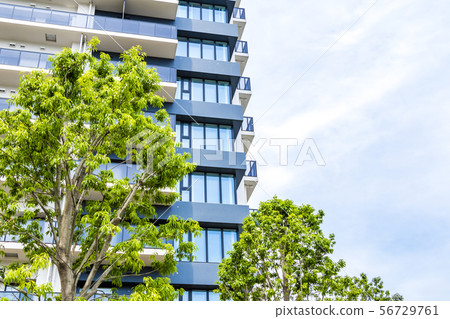 Urban landscape with green and tower apartment 56729761