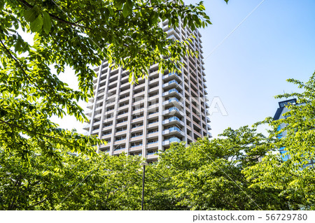 Urban landscape with green and tower apartment 56729780