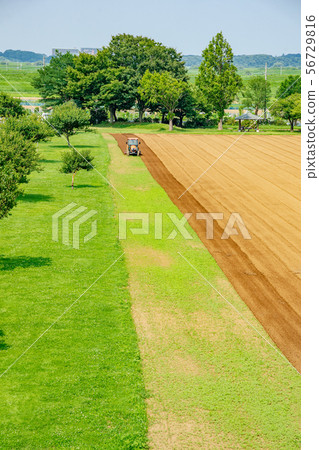 Plowing the field with a tractor Plowing the field with a tractor 56729816