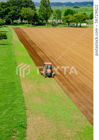 Plowing the field with a tractor 56729822