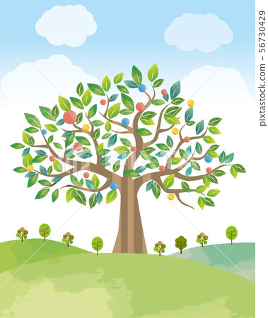 Big tree, sky and nature Big tree, sky and nature 56730429