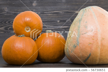 several pumpkins several pumpkins 56730651