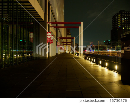 Akihabara night view 56730876