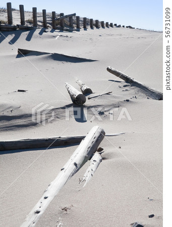 It is a landscape of sabo piles. It is a dune where piles are covered with flying sand. Impression scenery It is a landscape of sabo piles. It is a dune where piles are covered with flying sand. Impression scenery 56731099