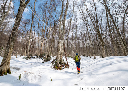 Oyama Trekking Snow Beech 56731107