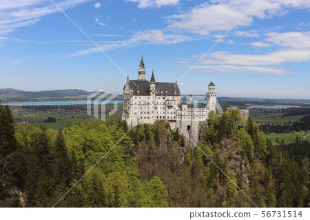 Neuschwanstein castle swan castle germany europe Neuschwanstein castle swan castle germany europe 56731514