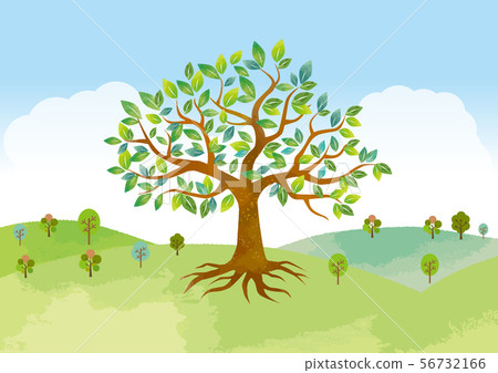 Big tree, sky and nature Big tree, sky and nature 56732166