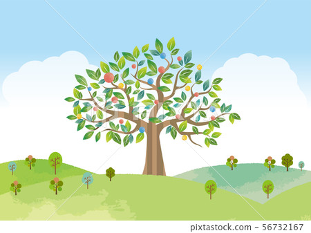 大樹，天空和自然 56732167
