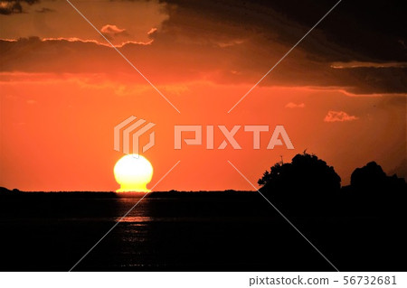 Daruma Asahi 56732681