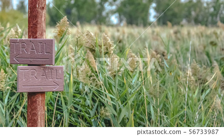 Trail sign against grasses and trees in Provo Utah 56733987