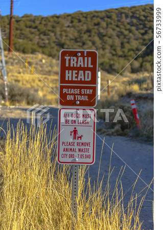 Trail head sign with dog warning in front of grass 56733999