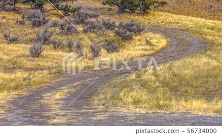 Trail curving on grass land in Goshen Canyon Utah 56734000