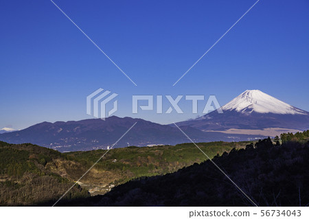 （靜岡縣）從伊豆看到的早晨的太陽沐浴在富士山 56734043