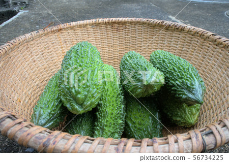Bitter gourd Bitter gourd 56734225