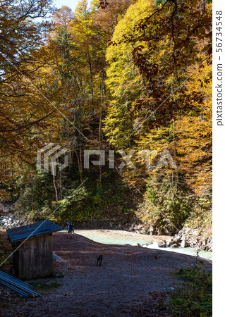 Hiking the Partnach Gorge in Garmisch-Partenkirchen, Bavaria, Germany 56734548