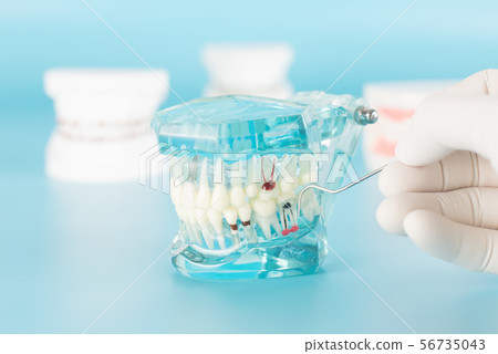 Dental check up by dentist. Dental check up by dentist. 56735043