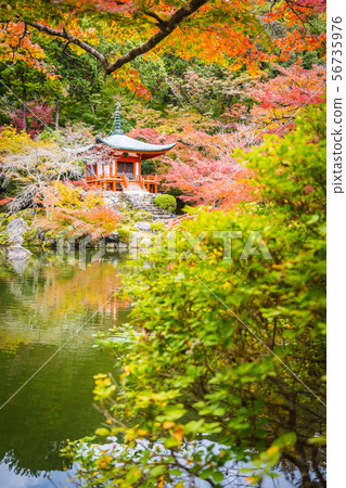 Beautiful Daigoji temple with colorful tree and leaf in autumn season Beautiful Daigoji temple with colorful tree and leaf in autumn season 56735976