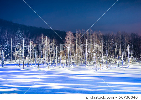 Beautiful outdoor landscape with blue pond river at night with light up in snow winter season Beautiful outdoor landscape with blue pond river at night with light up in snow winter season 56736046