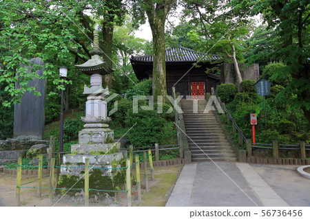 Kawagoe Kitain Jido Kawagoe Kitain Jido 56736456