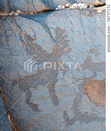 ancient cave paintings. petroglyphs in the wild. 56737152
