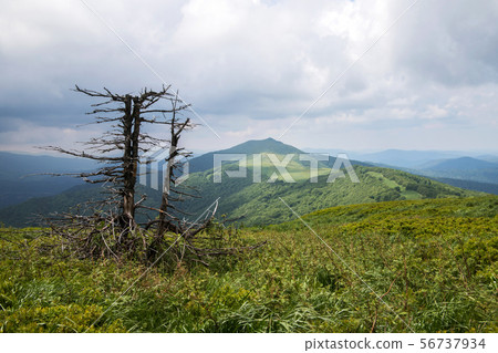 panorama of Bieszczady mountains in Poland panorama of Bieszczady mountains in Poland 56737934
