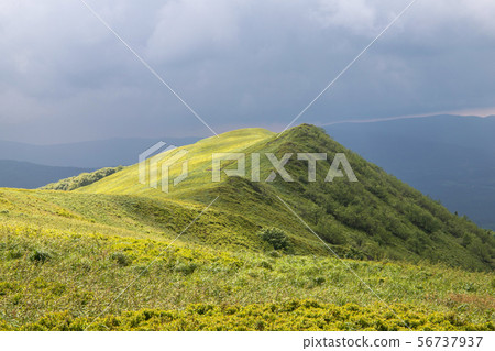 panorama of Bieszczady mountains in Poland panorama of Bieszczady mountains in Poland 56737937