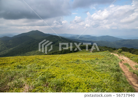 panorama of Bieszczady mountains in Poland panorama of Bieszczady mountains in Poland 56737940