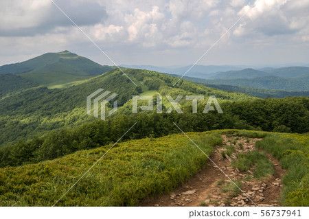 panorama of Bieszczady mountains in Poland panorama of Bieszczady mountains in Poland 56737941