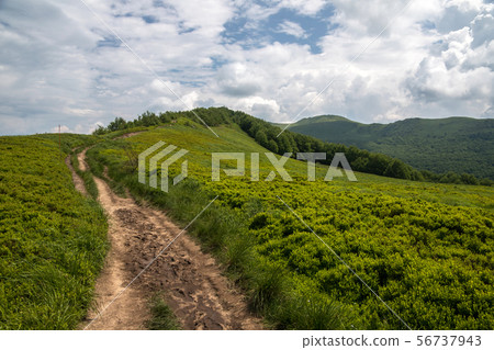 panorama of Bieszczady mountains in Poland 56737943