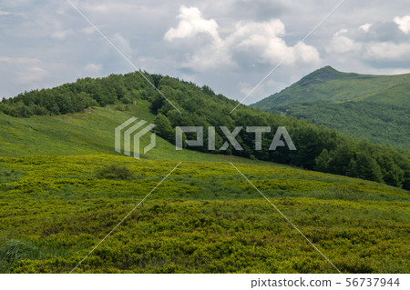 panorama of Bieszczady mountains in Poland panorama of Bieszczady mountains in Poland 56737944