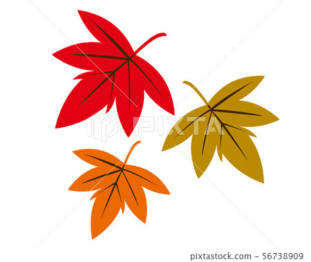 Maple leaf maple fallen leaf maple icon autumn - Stock Illustration ...