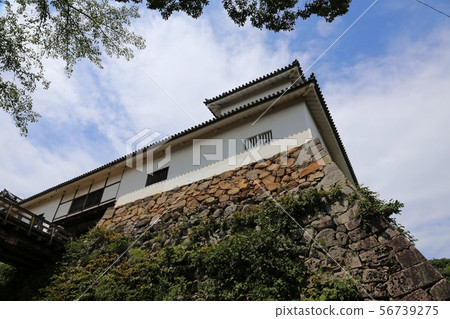 Hikone Castle Balance Oval 56739275