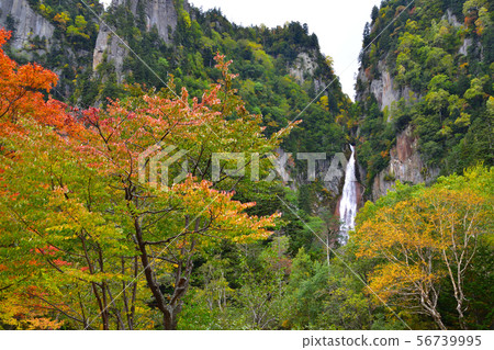 Fall meteor waterfall 56739995