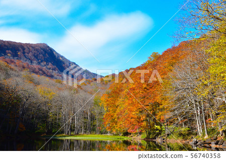 Autumn Nishinanuma Naganuma Autumn Nishinanuma Naganuma 56740358