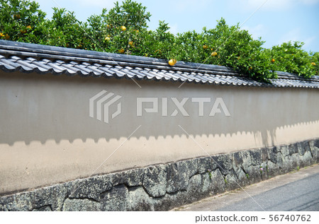 酒井城鎮 酒井城鎮 56740762